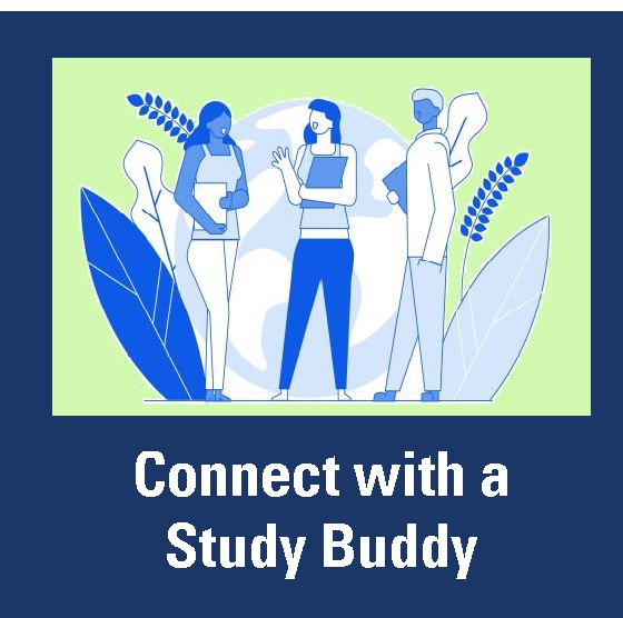 Connect with Study Buddy