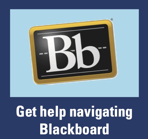 Get help navigating Blackboard