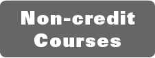 Non-credit Courses