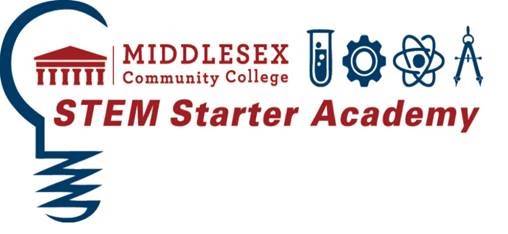 Stem Starter Academy Logo
